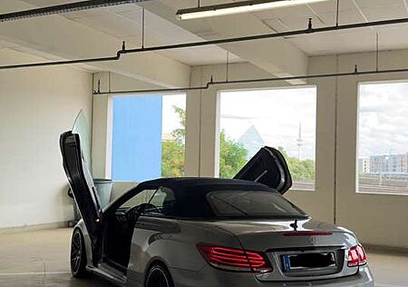Mercedes-Benz E 500 Cabrio BlueEFFICIENCY 7G-TRONIC Elegance