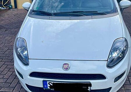 Fiat Punto More