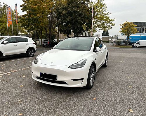 Tesla Model Y Tesla Model Y RWD Long Range | 06/2024 | 44.100 km