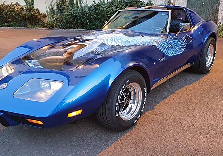 Chevrolet Corvette C3 Einzelstück