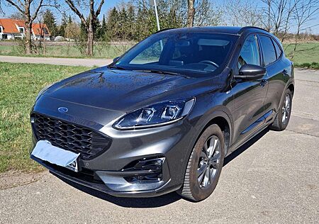 Ford Kuga gebraucht kaufen Ford Kuga 1.5 EcoBoost ST-LINE X