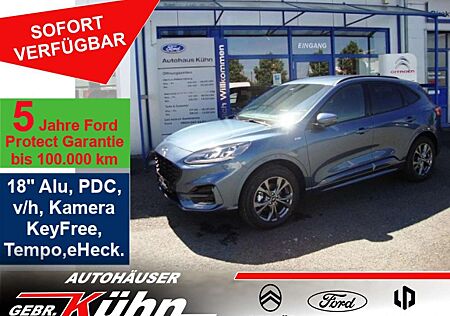 Ford Kuga 2.0 EcoBlue 4x4 Aut. ST-LINE X - Navi, el.Heckkl.