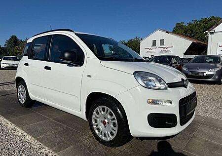 Fiat Panda My Sportsitze Sport Lenkrad