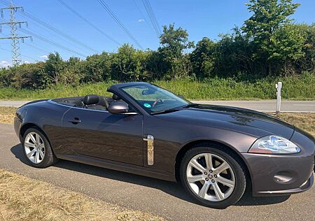 Jaguar XK8 4.2l Cabrio TOP GEPFLEGT