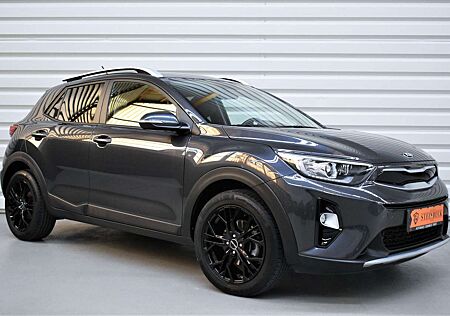Kia Stonic Vision+LED+SHZ+LHZ+PDC+39.200KM
