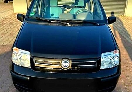 Fiat Panda 1.2 8V**Klima**New Tüv**Oktober 2027