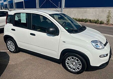 Fiat Panda Pandina