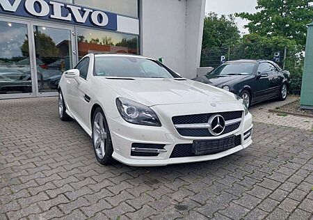Mercedes-Benz SLK 250 SLK Roadster CDI BlueEfficiency