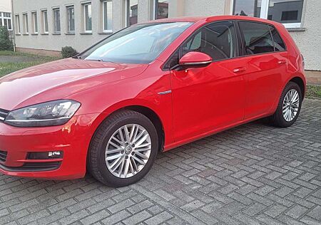 VW Golf Volkswagen Cup BMT Selbstlenkende Einparkhilfe Xenon Kamera