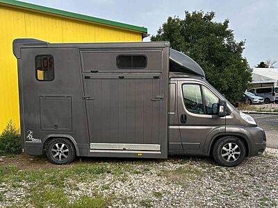 Peugeot Boxer Pferdetransporter