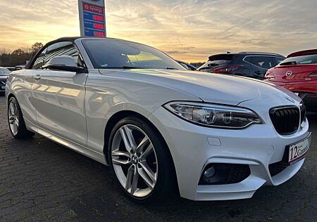 BMW 218 d M Sport Cabrio*BI-XENON*NAVI*LEDER*HIFI*LM