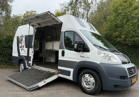 Fiat Ducato Pferdewagen Horsetruck Pferdebus