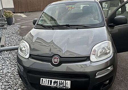 Fiat New Panda Serie 1-Easy 1.2 8V