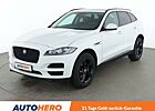 Jaguar F-Pace 20d Pure *NAVI*CAM*SHZ*PDC*SPUR*TEMPO*