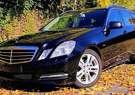 Mercedes-Benz E 220 gebraucht kaufen Mercedes-Benz E 220 T CDI DPF BlueEFFICIENCY 7G-TRONIC Avantgarde
