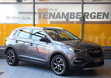 Opel Grandland X Innovation Kamera AHK Navi LED