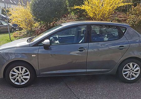 Seat Ibiza Style / TÜV NEU / Top Ausstattung
