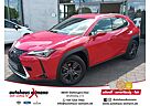 Lexus UX 250h Executive Line * Comfort+Assistenz-Paket * Navi