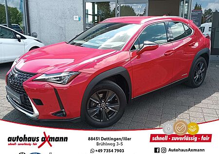 Lexus UX 250h Executive Line * Comfort+Assistenz-Paket * Navi