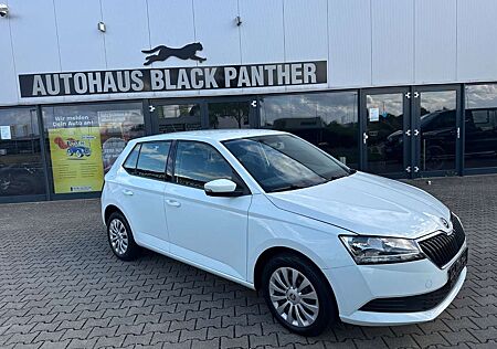 Skoda Fabia Cool Plus Modell 2020 Klima Scheckh.