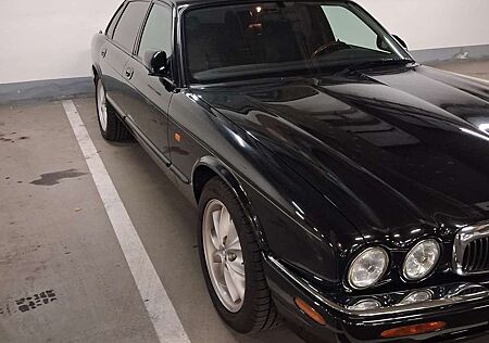 Jaguar XJS 805