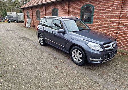 Mercedes-Benz GLK 200 CDI BlueEfficiency Parkassistent