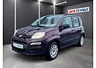 Fiat Panda Basis 1.2 8V Klimaanlage