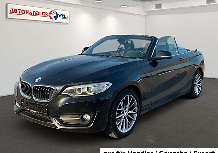 BMW 218i 218 Cabrio Luxury Line Leder Automatik