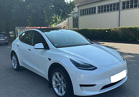 Tesla Model Y RWD