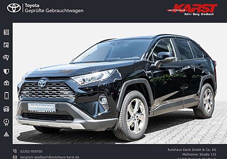 Toyota RAV 4 - 2.5 l Hybrid 4x2 Team D
