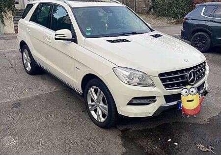 Mercedes-Benz ML 250 CDI BlueTec (166.004)