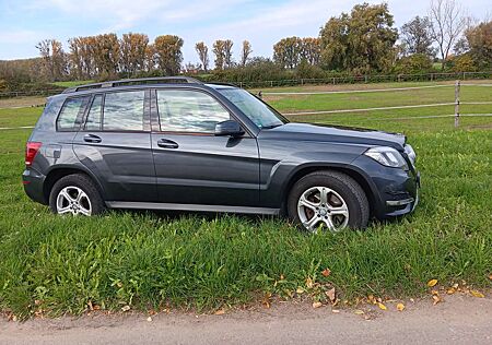 Mercedes-Benz GLK 220 CDI 4Matic (BlueEFFICIENCY) 7G-TRONIC