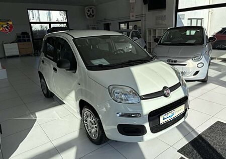 Fiat Panda Easy