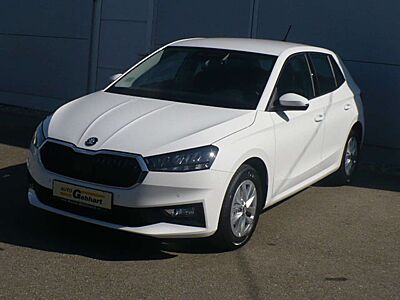Skoda Fabia Selection Kamera PDC v+h SHZ ALU