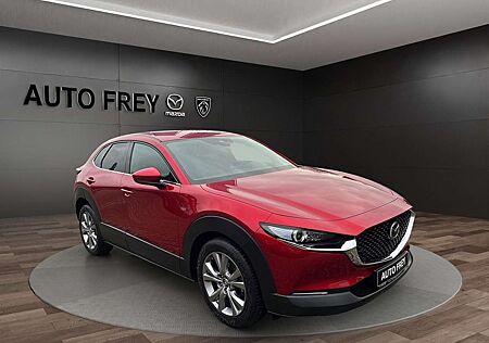 Mazda CX-30 Selection DES-P NAVI KAMERA LED
