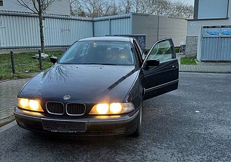 BMW 523i 523