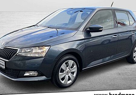 Skoda Fabia 1.0 TSI Ambition DSG Navi-RFK-SHZ-GRA-Klimaa