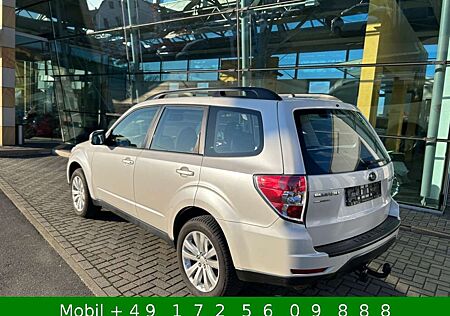 Subaru Forester Comfort Autom 4x4 AHK Xenon Kamera GSD