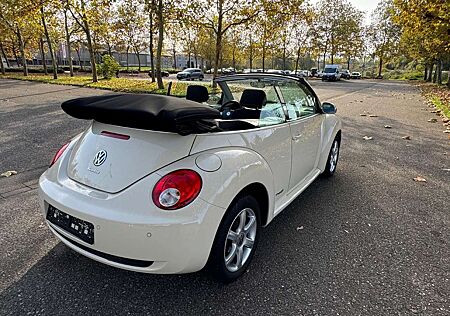 VW New Beetle Volkswagen 1.6