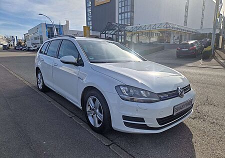 VW Golf Volkswagen VII Variant Comfortline BlueMotion TGI