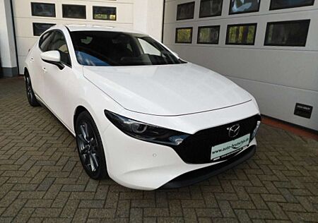 Mazda 3 SKY-G150 Selection Design-P./Leder/BSM/Kamera/MR