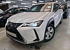 Lexus UX 250h Hybrid Luxury Line