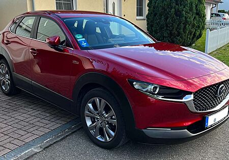 Mazda CX-30 AWD SELECTION SKYACTIV-X 2.0 M-Hybrid