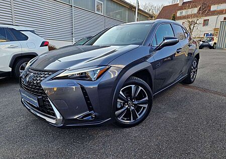 Lexus UX 250h Style Edition PDC/NAVI/SRA