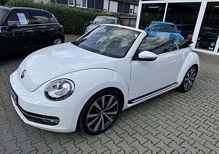 VW Beetle Volkswagen Cabrio Sport Automatik Leder Standhz.Xeno