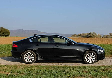 Jaguar XE 2.0d AWD Automatik Pure