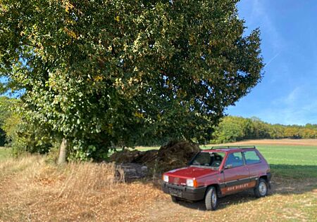 Fiat Panda 4x4 Sisley, Oldtimer