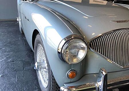 Austin-Healey 100 100/4 BN1