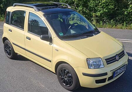 Fiat Panda 1.2 /TÜV Neu/Panorama/Wunderschön