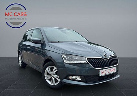 Skoda Fabia Style Automatik aus 1.Hand
